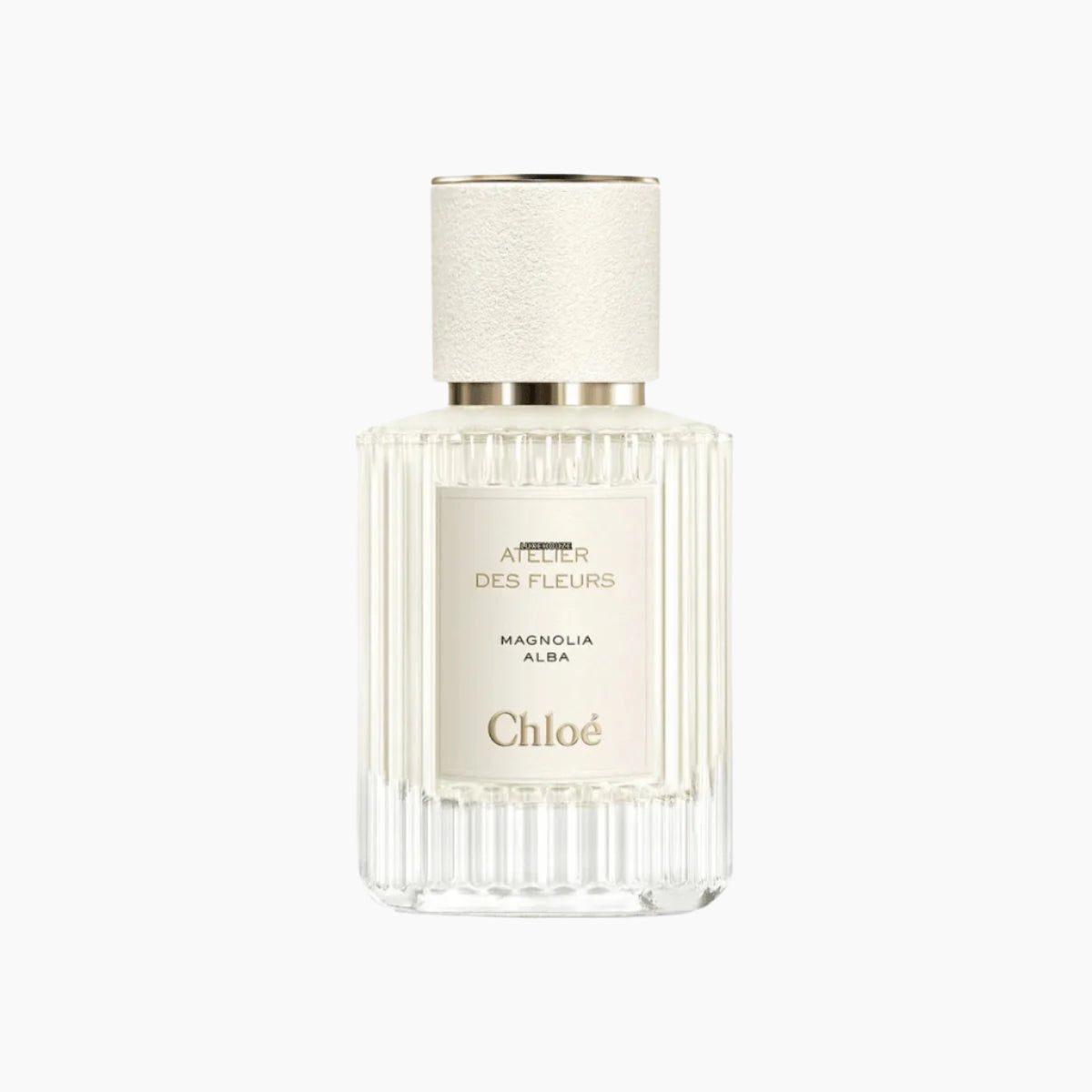 Chloé - Atelier des Fleurs Magnolia Alba