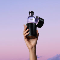 Louis Vuitton - eLVes