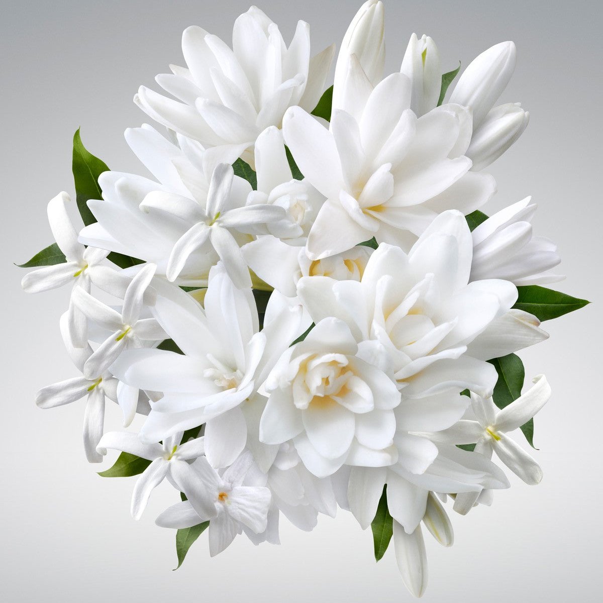 Carolina Herrera - Good Girl