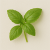 Basil