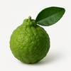 Bergamot