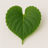 Violet Leaf