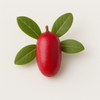 Miracle berry