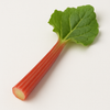Rhubarb