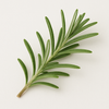 Rosemary