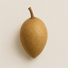 Sapodilla