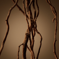 Hugo Boss - Boss Bottled - EDP