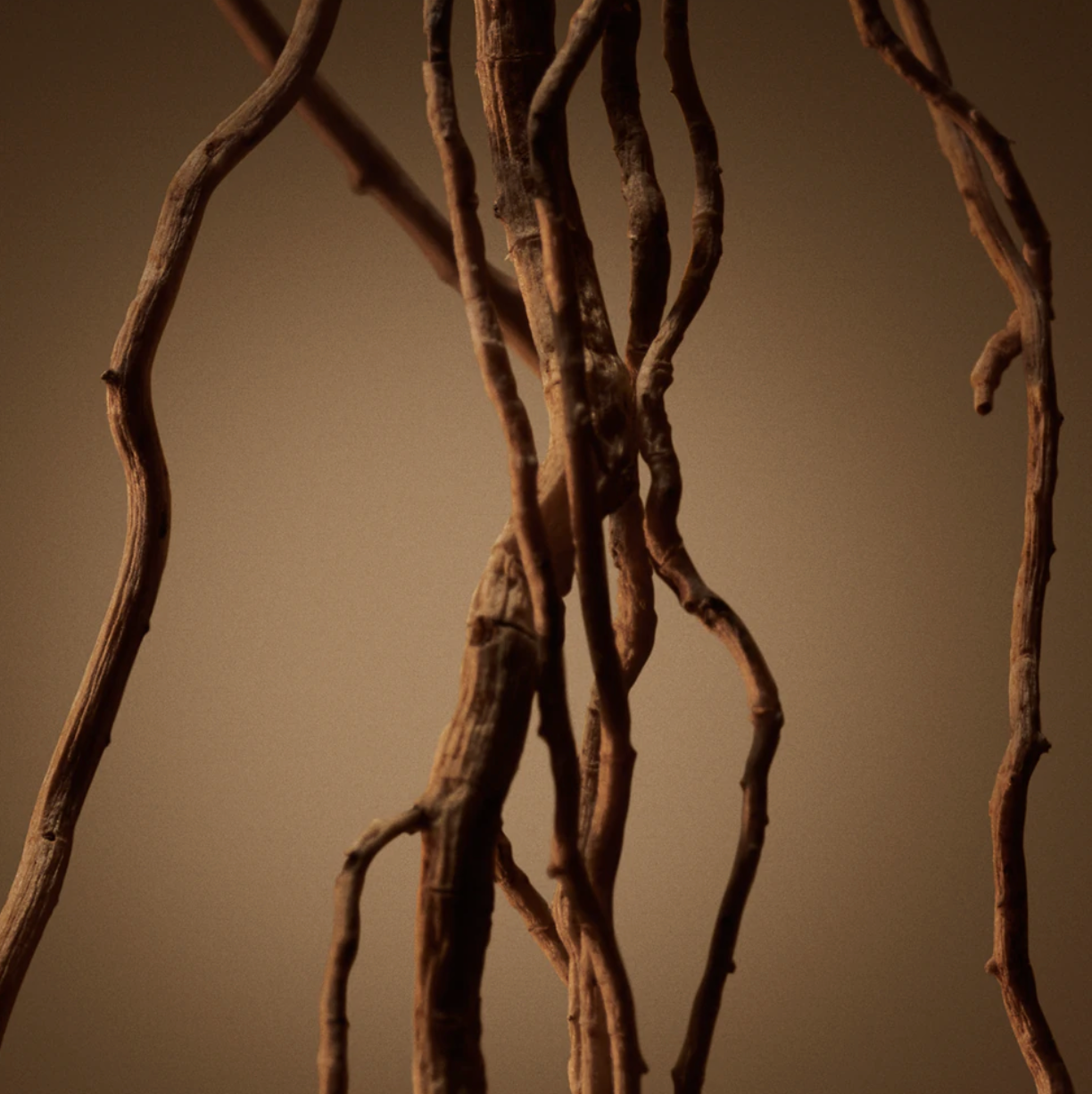 Hugo Boss - Boss Bottled - EDP