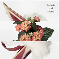 Hermès - Eau de Rhubarbe Écarlate