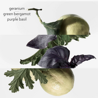 Hermes - Colognes Collection