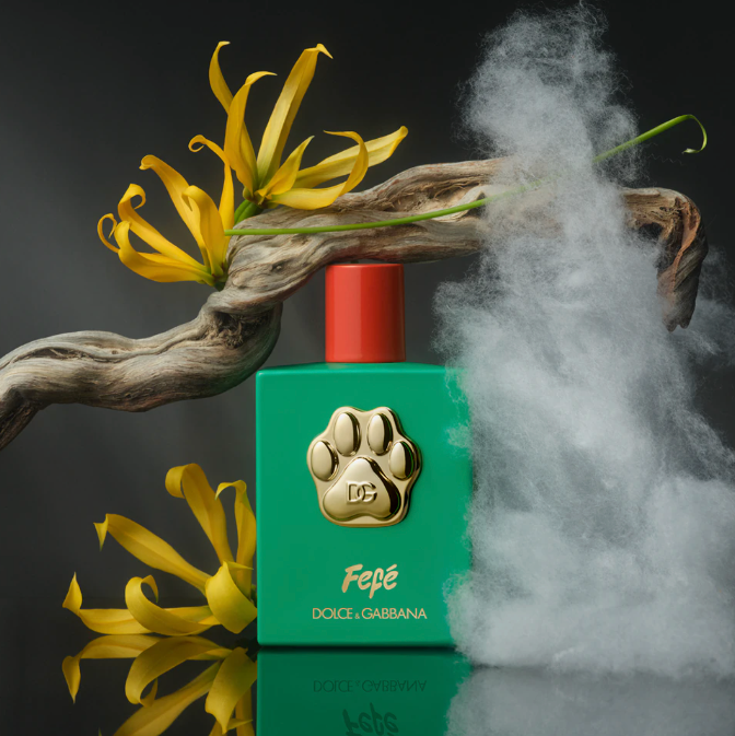 Dolce&Gabbana - Fefé fragrance pre psov
