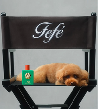 Dolce&Gabbana - Fefé fragrance pre psov