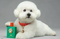 Dolce&Gabbana - Fefé fragrance pre psov