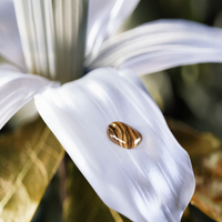 BVLGARI - Le Gemme Tygar