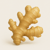 Ginger