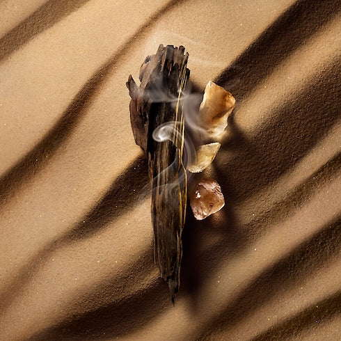 Louis Vuitton - Ombre Nomade