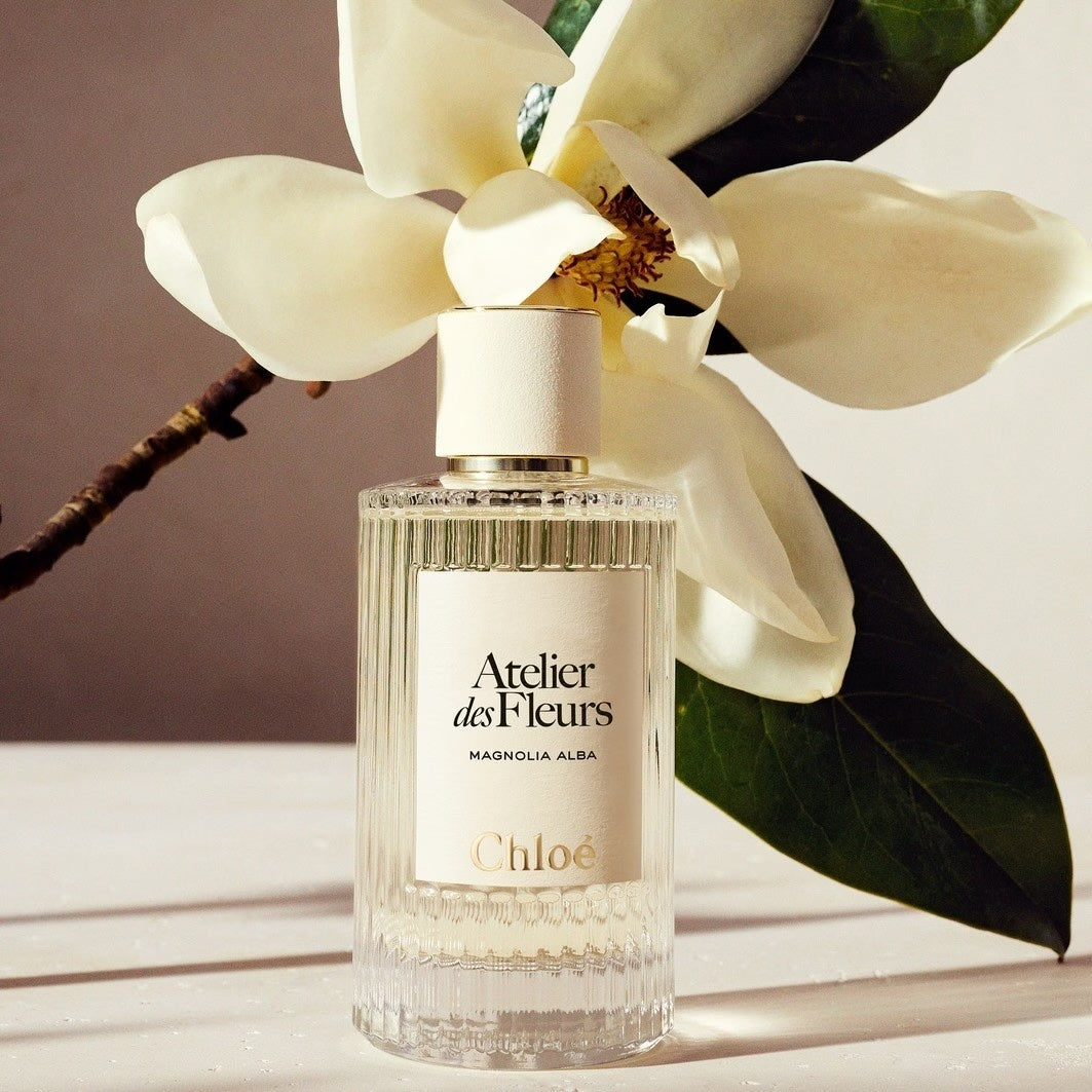 Chloé - Atelier des Fleurs Magnolia Alba