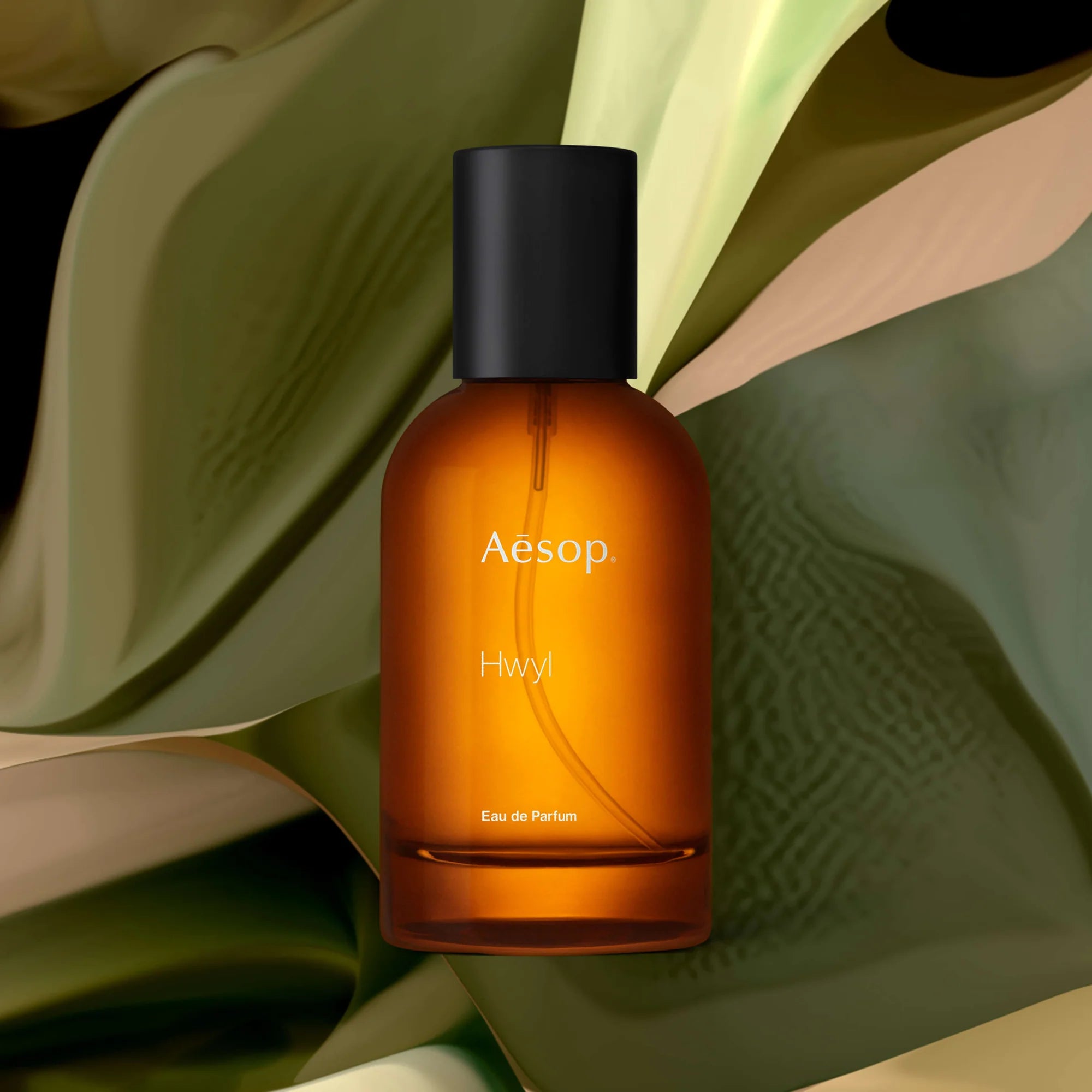 Aēsop - Hwyl