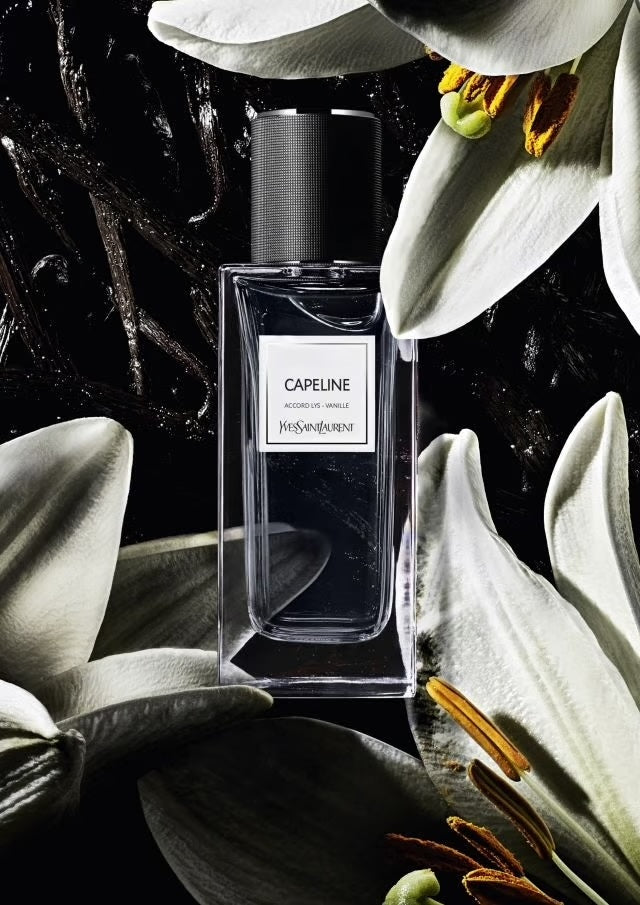 Yves Saint Laurent – Capeline