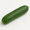 Cucumber