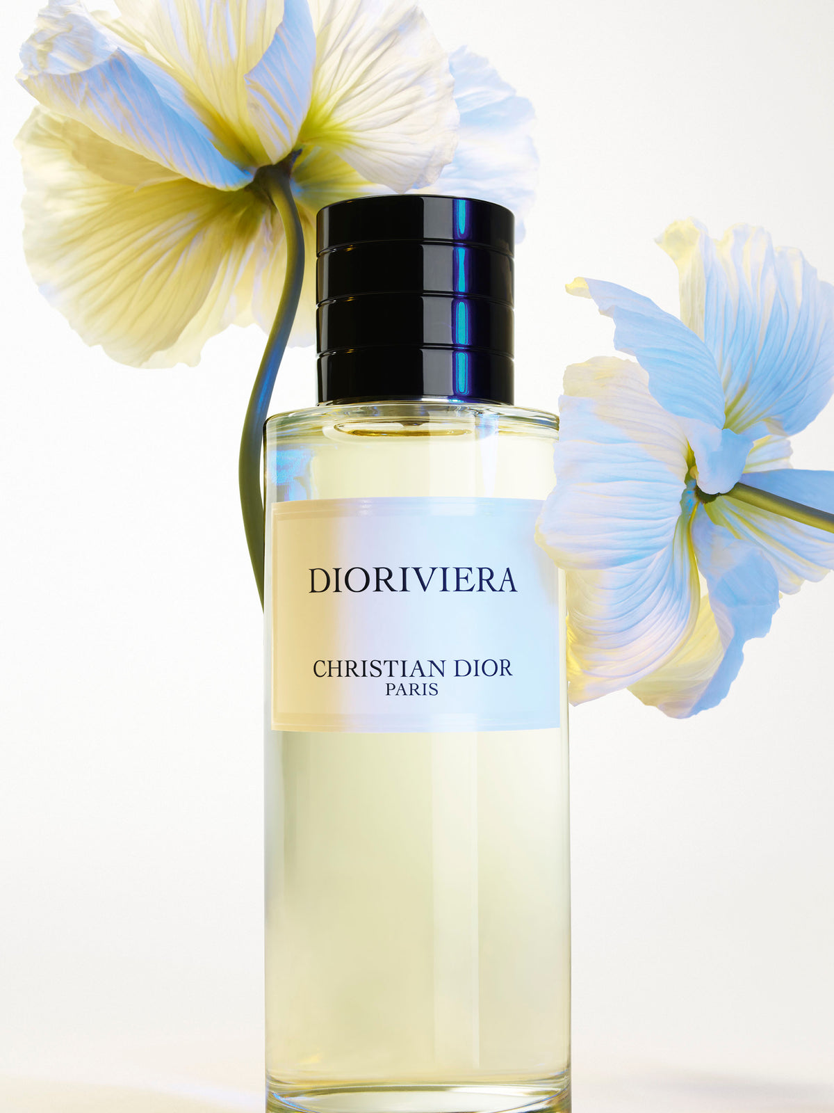 Dior	- Dioriviera