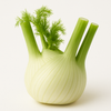 Fennel