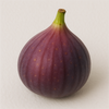 Fig