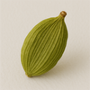Guatemalan Cardamom