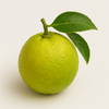 Calabrian Bergamot