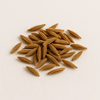 Caraway