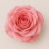 May Rose