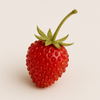 Wild Strawberry