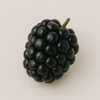 Blackberry