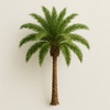 Palm Tree