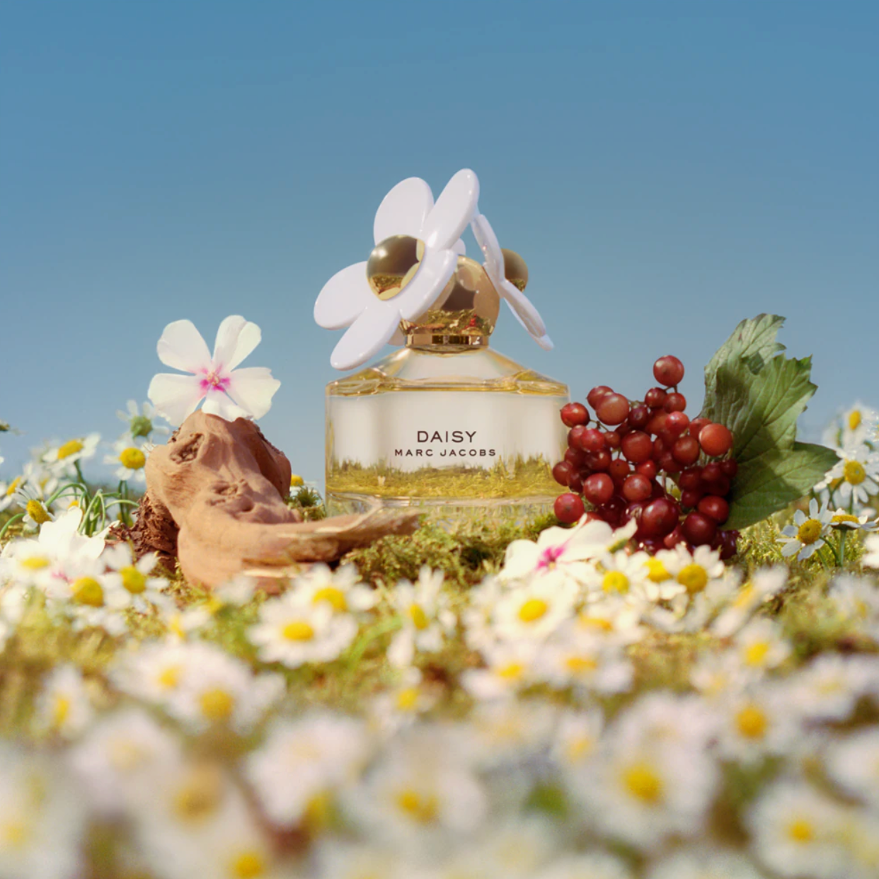 Marc Jacobs – Daisy