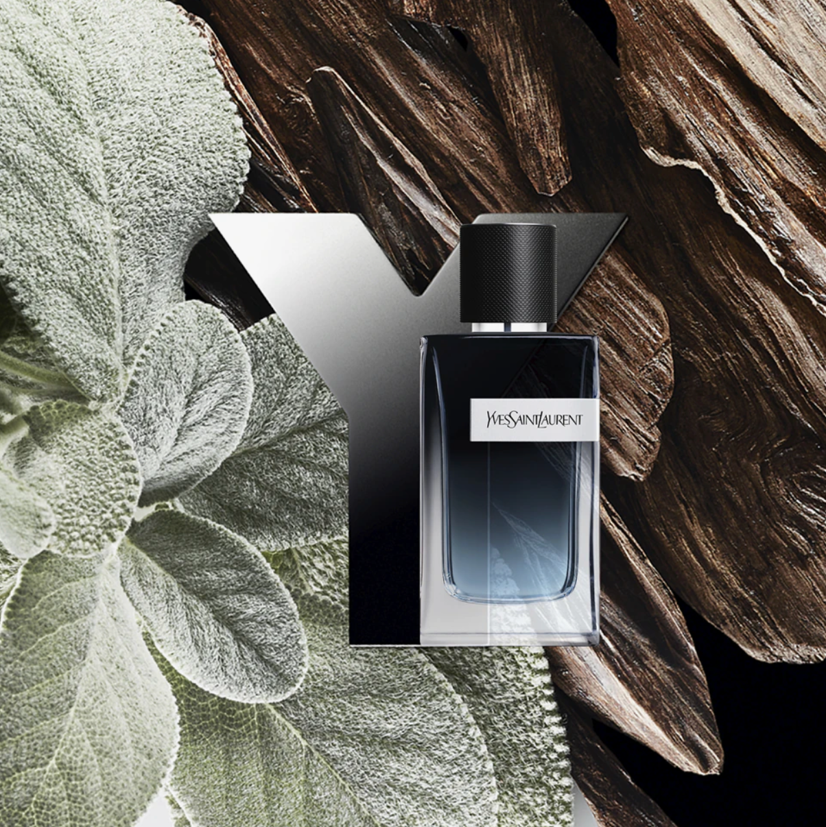 Yves Saint Laurent - Y