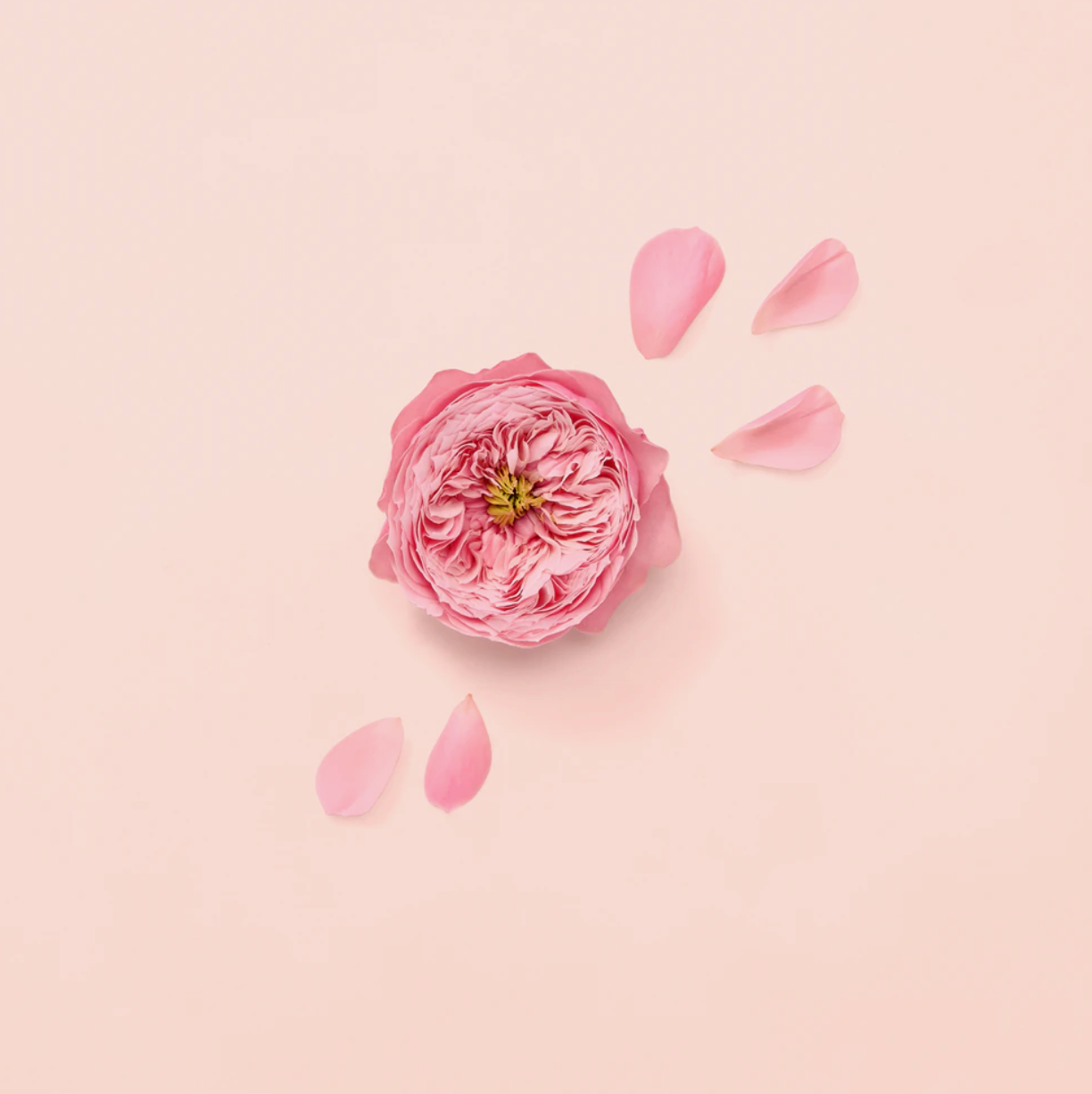 Gucci - Bloom Ambrosia Di Fiori