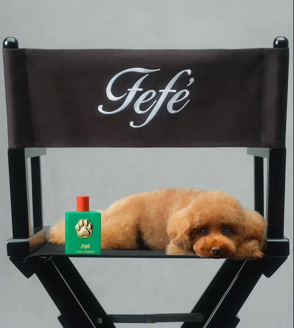 Dolce&Gabbana - Fefé fragrance pro psy