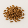 Carrot Seeds