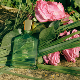 Creed - Wild Vetiver