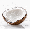 Coconut Water 