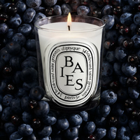 Diptyque - Baies (Berries)