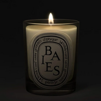 Diptyque - Baies (Berries)