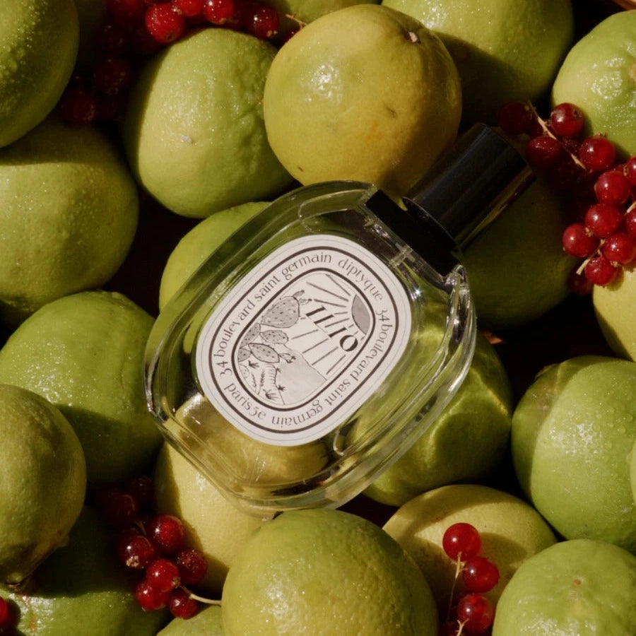 Diptyque - Ilio
