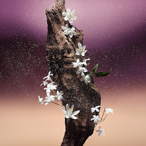 Louis Vuitton	- Fleur Du Désert