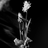 Louis Vuitton	- Matière Noire