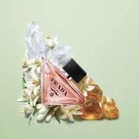 Prada - Paradox