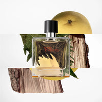 Hermès - Terre d'Hermès